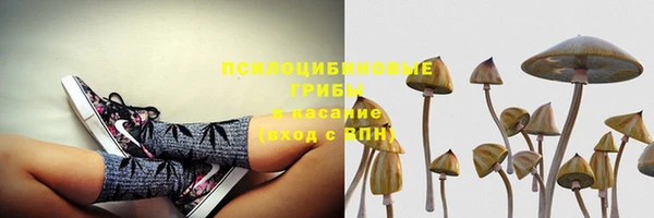 spice Кукмор