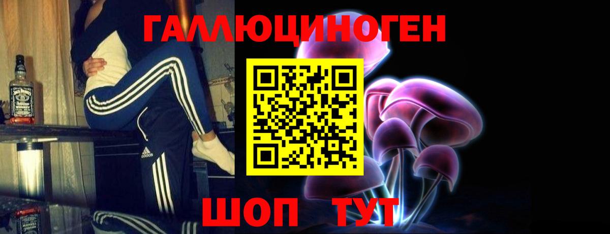 Майский  Псилоцибиновые грибы мицелий  Вход с VPN 